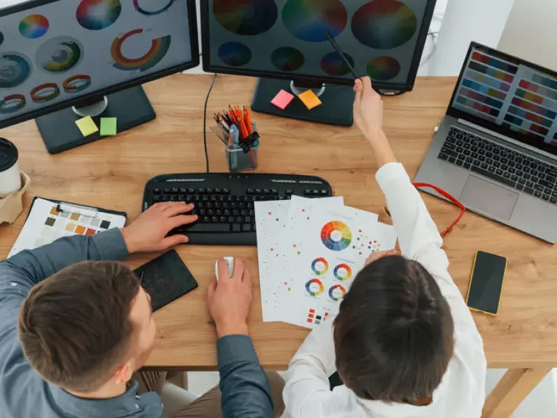 Website Design Services in Box Hill South, VIC - WebsitedesignDandenong.com.au