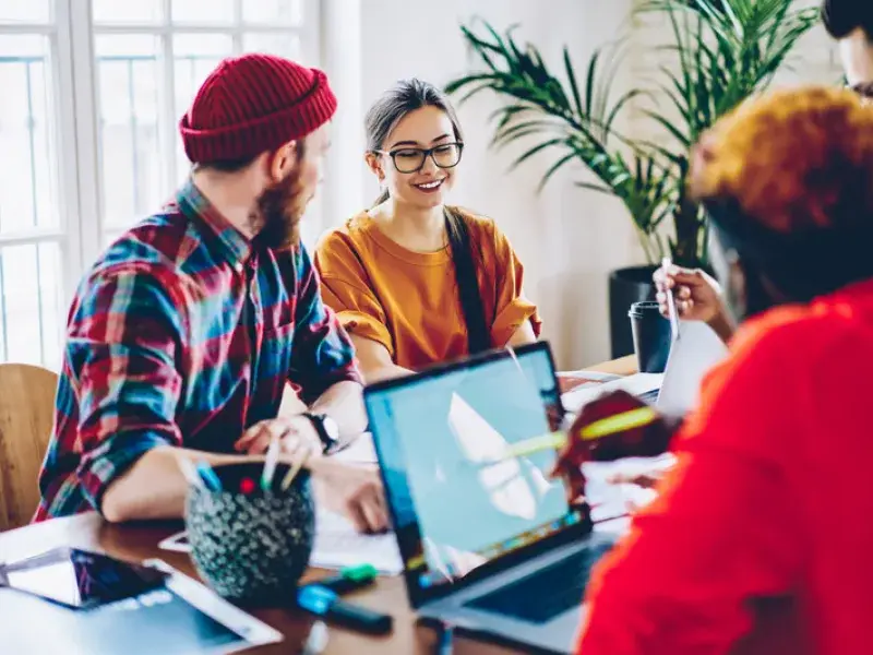 Professional Web Development Services process