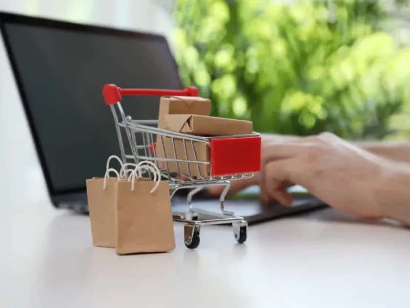 Website Design Services in Camberwell, VIC - WebsitedesignDandenong.com.au