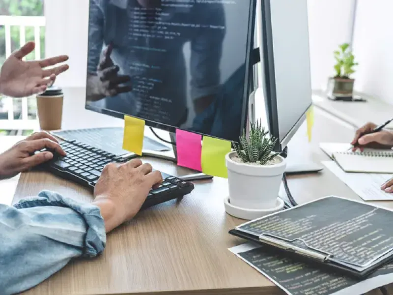 WebsitedesignDandenong.com.au Website Design Services process