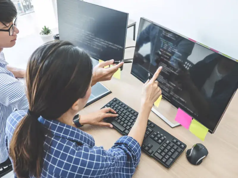 Website Design Services in Elsternwick, VIC - WebsitedesignDandenong.com.au