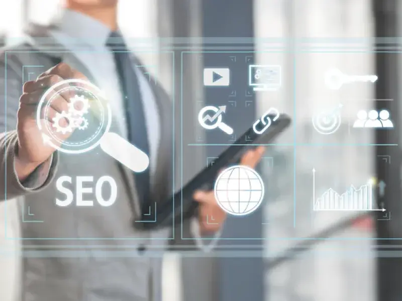 Professional SEO Optimization Services process